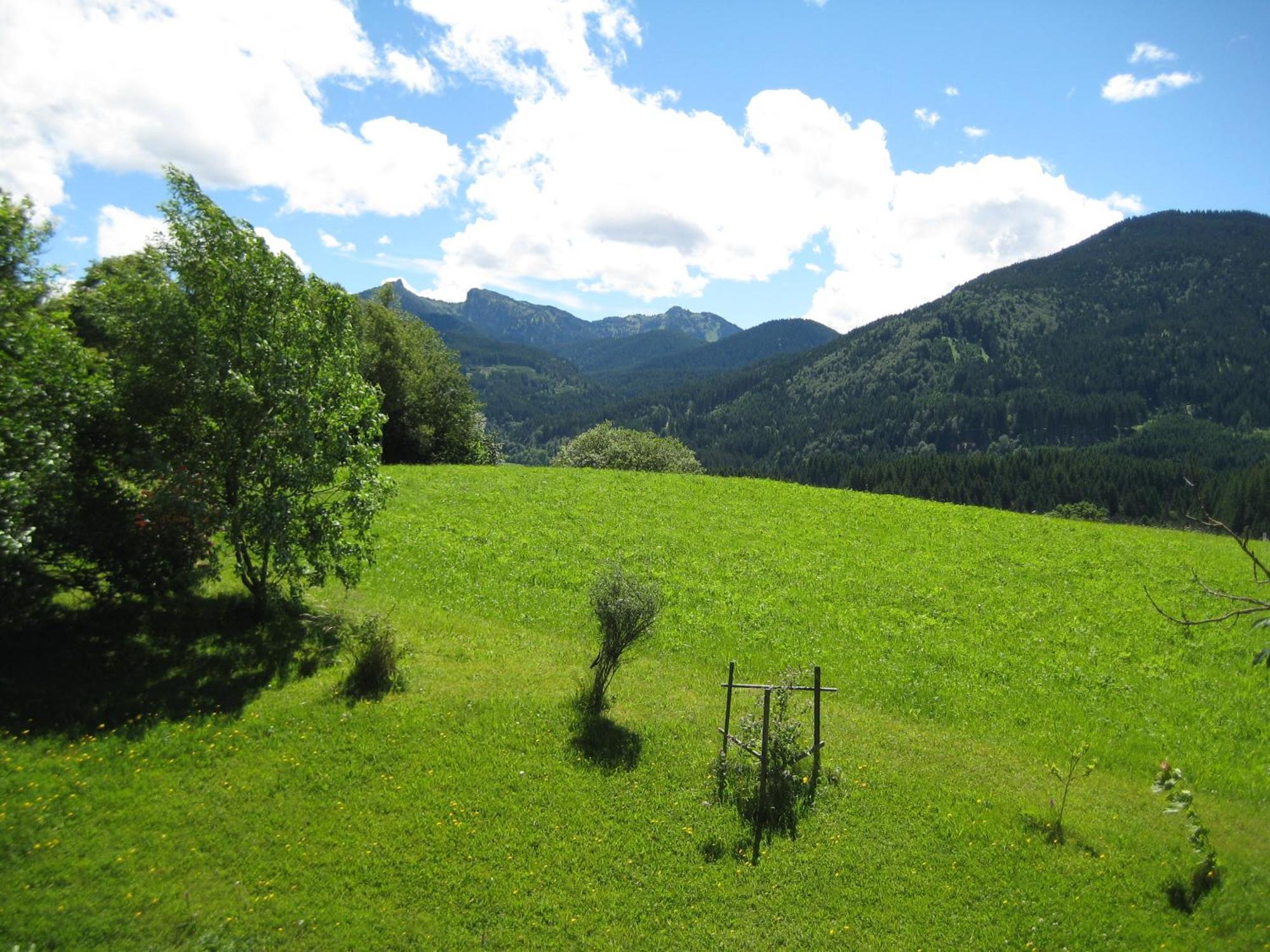 Bergblick * Saulgrub